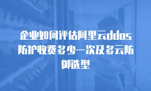 企业如何评估阿里云ddos防护收费多少一次及多云防御选型