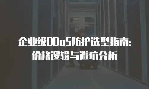 企业级DDoS防护选型指南：价格逻辑与避坑分析