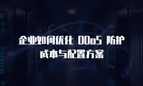 企业如何优化 DDoS 防护成本与配置方案