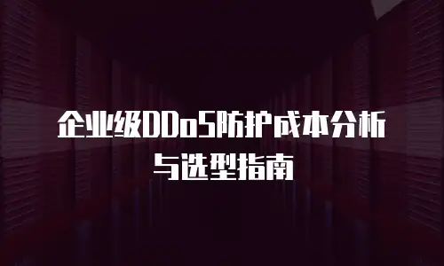 企业级DDoS防护成本分析与选型指南