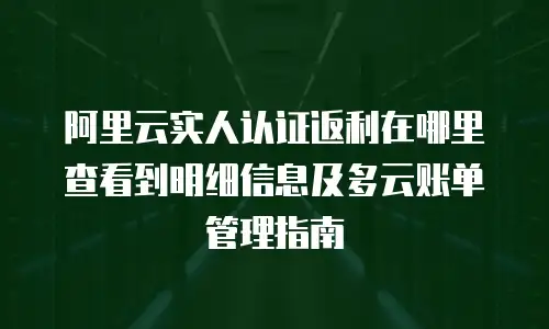 阿里云实人认证返利在哪里查看到明细信息及多云账单管理指南