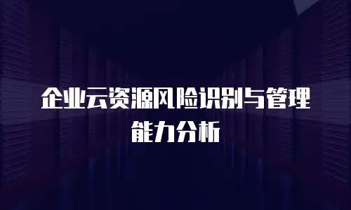 企业云资源风险识别与管理能力分析