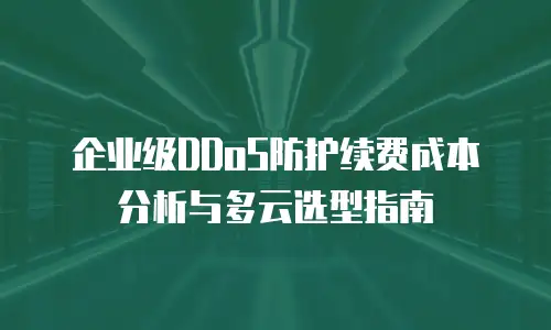 企业级DDoS防护续费成本分析与多云选型指南
