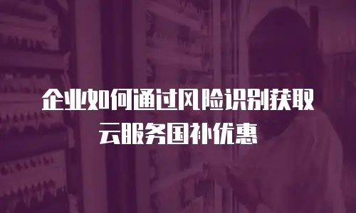 企业如何通过风险识别获取云服务国补优惠