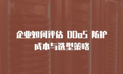 企业如何评估 DDoS 防护成本与选型策略