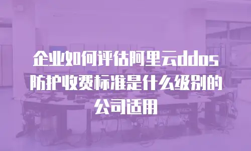 企业如何评估阿里云ddos防护收费标准是什么级别的公司适用