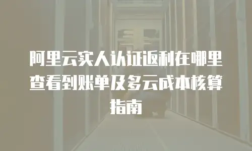 阿里云实人认证返利在哪里查看到账单及多云成本核算指南