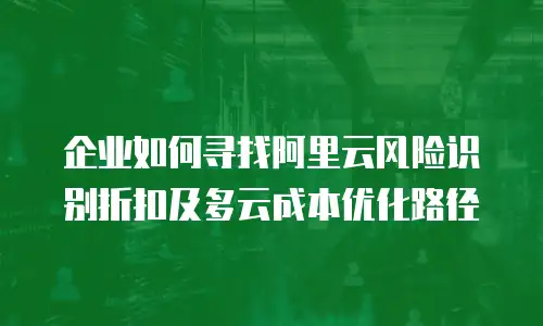 企业如何寻找阿里云风险识别折扣及多云成本优化路径