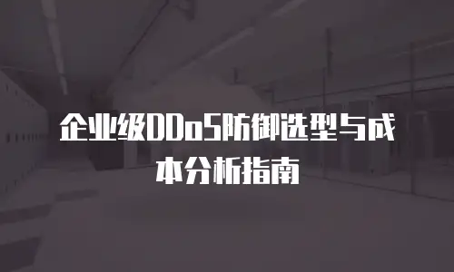 企业级DDoS防御选型与成本分析指南