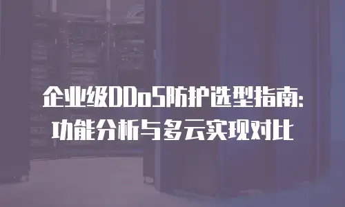 企业级DDoS防护选型指南：功能分析与多云实现对比