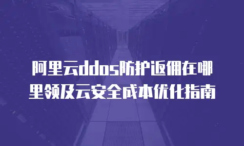 阿里云ddos防护返佣在哪里领及云安全成本优化指南