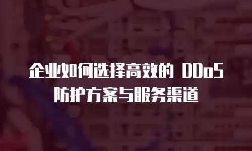企业如何选择高效的 DDoS 防护方案与服务渠道