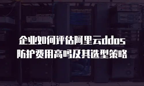 企业如何评估阿里云ddos防护费用高吗及其选型策略