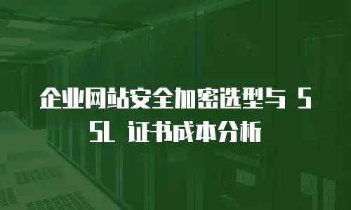 企业网站安全加密选型与 SSL 证书成本分析