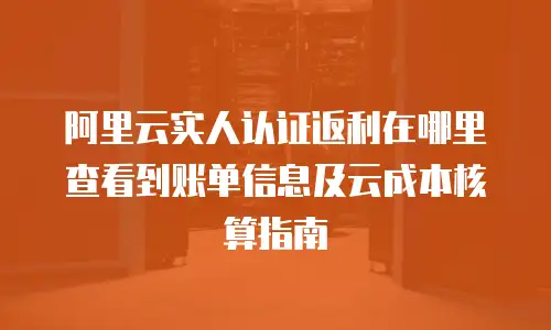 阿里云实人认证返利在哪里查看到账单信息及云成本核算指南