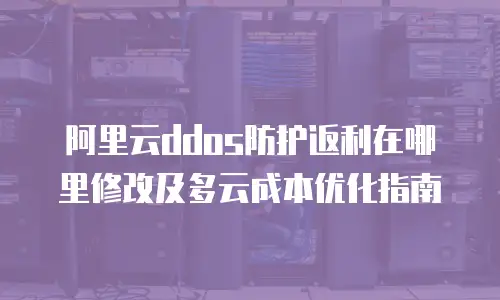 阿里云ddos防护返利在哪里修改及多云成本优化指南