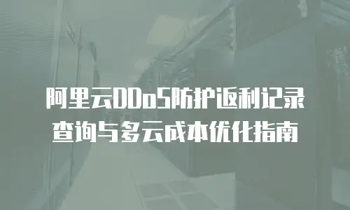 阿里云DDoS防护返利记录查询与多云成本优化指南