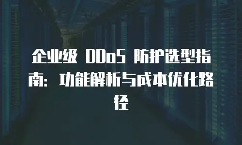 企业级 DDoS 防护选型指南：功能解析与成本优化路径