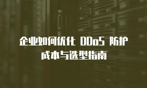 企业如何优化 DDoS 防护成本与选型指南