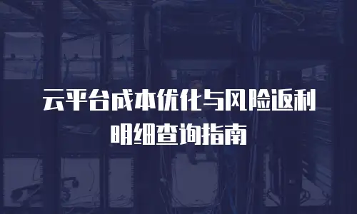 云平台成本优化与风险返利明细查询指南