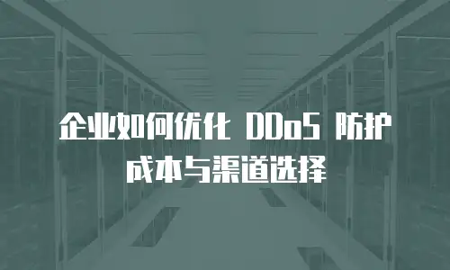 企业如何优化 DDoS 防护成本与渠道选择
