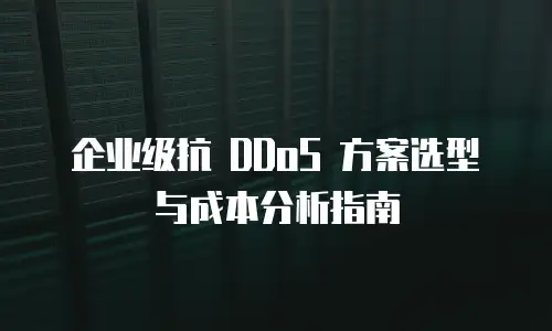企业级抗 DDoS 方案选型与成本分析指南