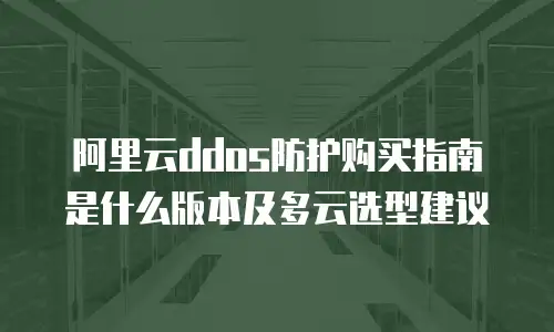 阿里云ddos防护购买指南是什么版本及多云选型建议