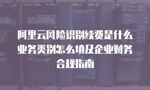 阿里云风险识别续费是什么业务类别怎么填及企业财务合规指南