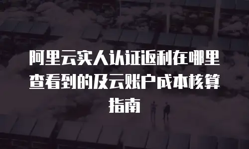 阿里云实人认证返利在哪里查看到的及云账户成本核算指南