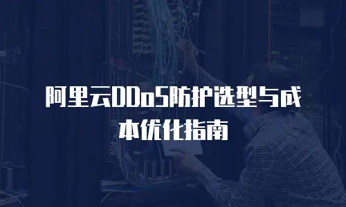阿里云DDoS防护选型与成本优化指南