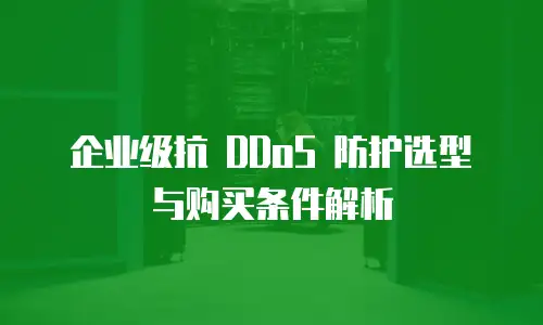 企业级抗 DDoS 防护选型与购买条件解析