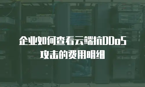 企业如何查看云端抗DDoS攻击的费用明细