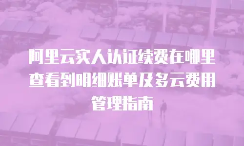 阿里云实人认证续费在哪里查看到明细账单及多云费用管理指南