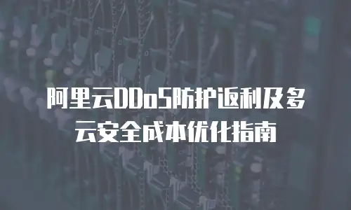 阿里云DDoS防护返利及多云安全成本优化指南