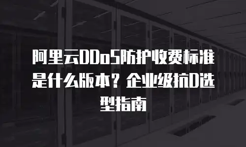阿里云DDoS防护收费标准是什么版本？企业级抗D选型指南