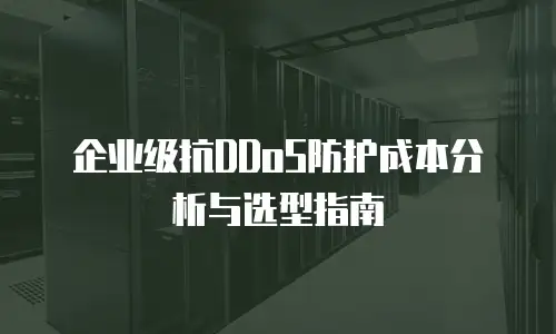 企业级抗DDoS防护成本分析与选型指南