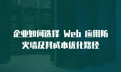 企业如何选择 Web 应用防火墙及其成本优化路径
