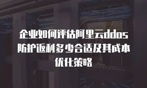 企业如何评估阿里云ddos防护返利多少合适及其成本优化策略