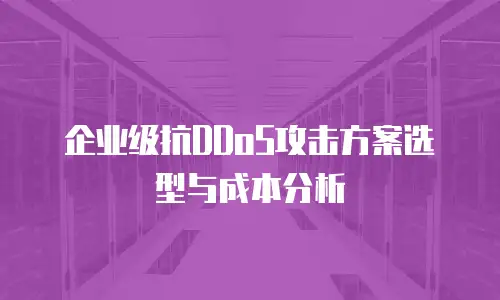 企业级抗DDoS攻击方案选型与成本分析