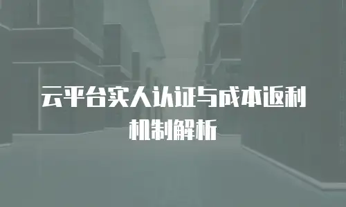 云平台实人认证与成本返利机制解析
