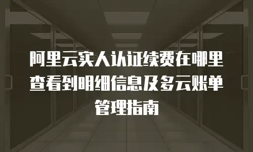 阿里云实人认证续费在哪里查看到明细信息及多云账单管理指南