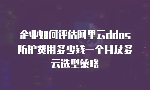 企业如何评估阿里云ddos防护费用多少钱一个月及多云选型策略