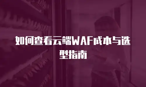 如何查看云端WAF成本与选型指南