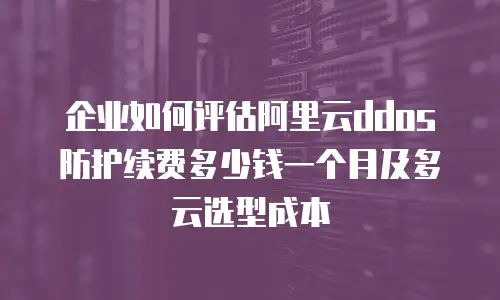 企业如何评估阿里云ddos防护续费多少钱一个月及多云选型成本