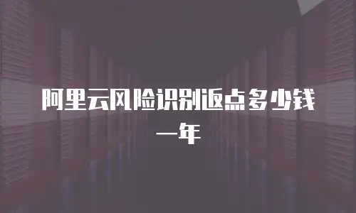阿里云风险识别返点多少钱一年