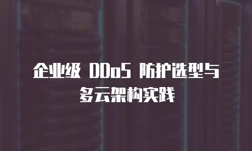 企业级 DDoS 防护选型与多云架构实践