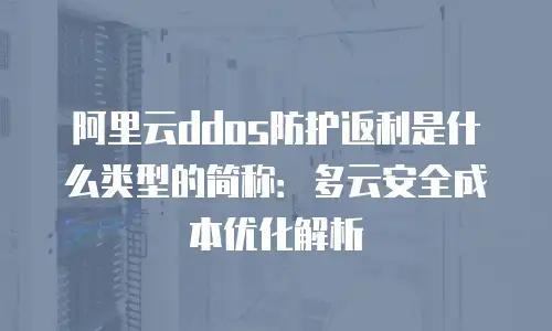 阿里云ddos防护返利是什么类型的简称：多云安全成本优化解析