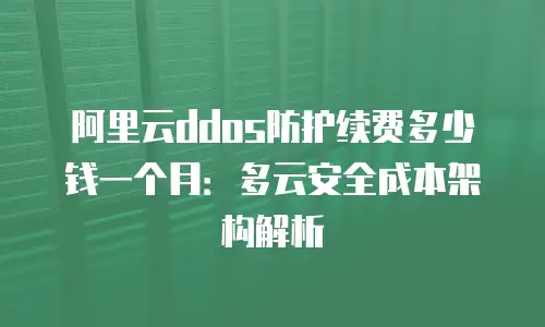 阿里云ddos防护续费多少钱一个月：多云安全成本架构解析