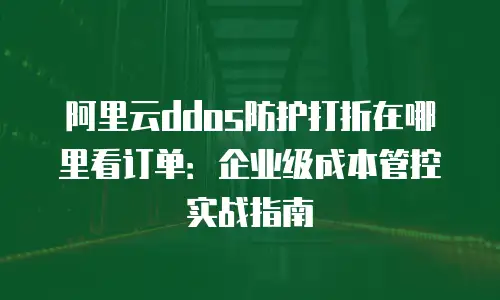 阿里云ddos防护打折在哪里看订单：企业级成本管控实战指南
