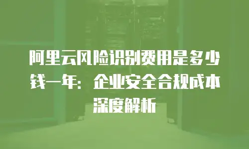 阿里云风险识别费用是多少钱一年：企业安全合规成本深度解析